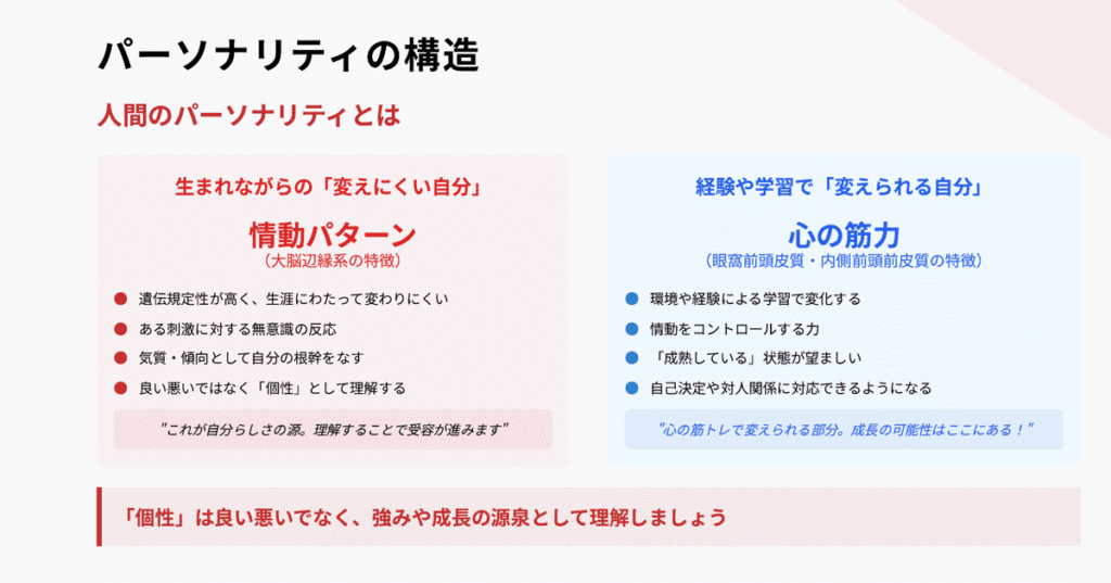 PSAパーソナリティ診断概要